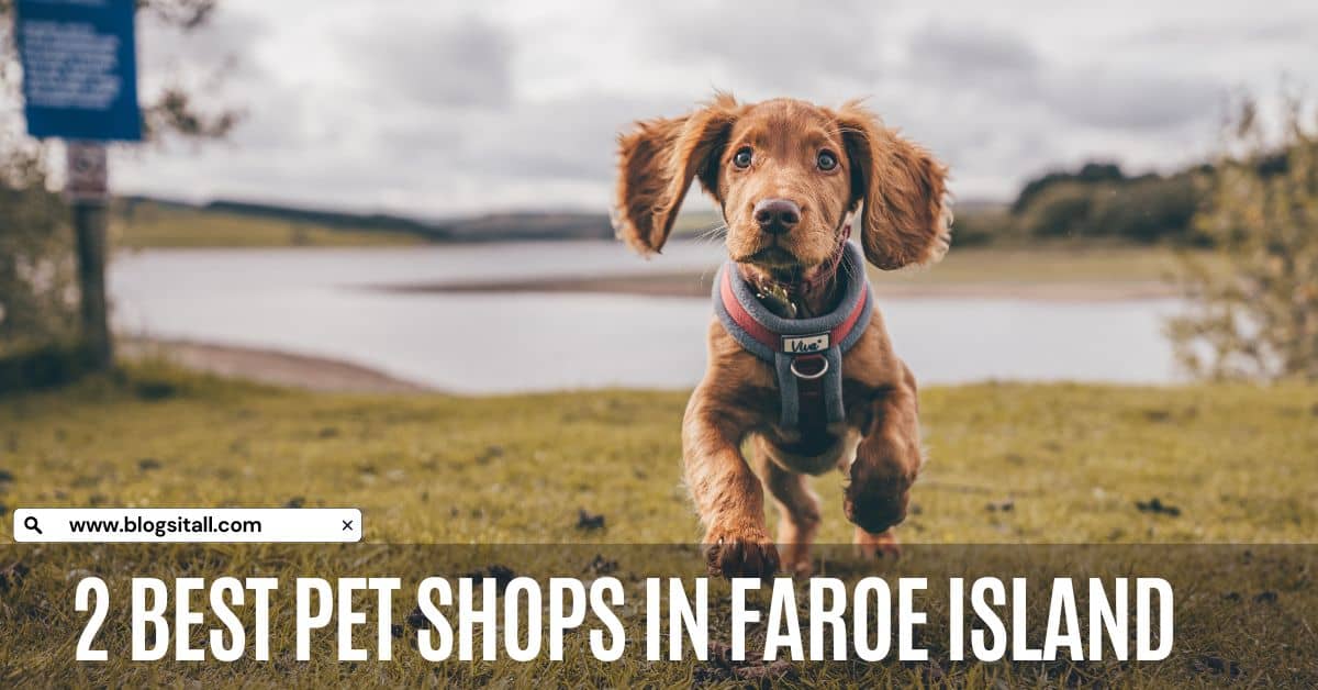 Pet Shops in Faroe