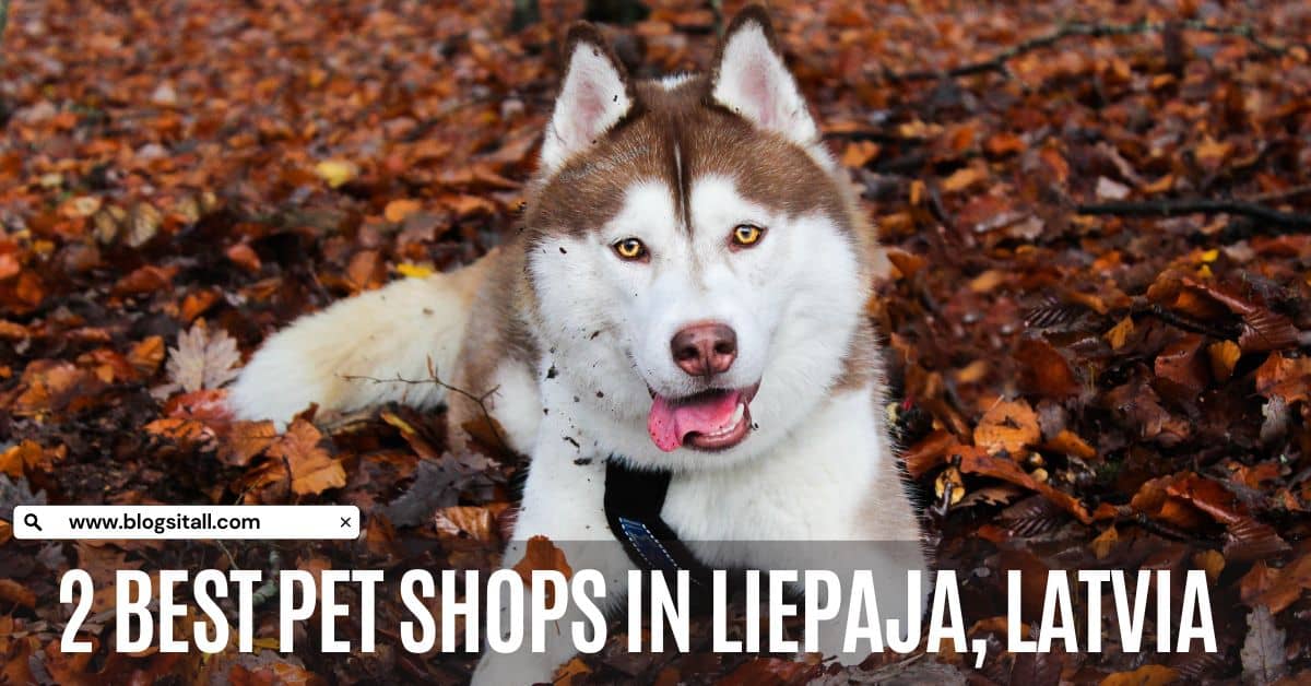2 Best Pet Shops in Liepaja, Latvia