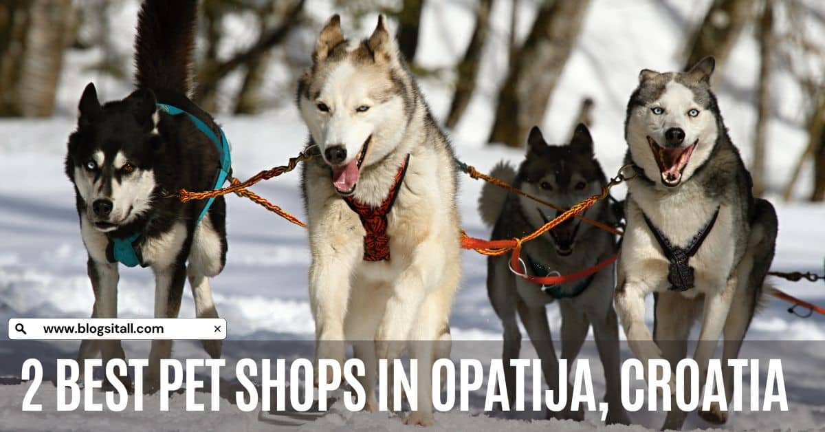 2 Best Pet Shops in Opatija, Croatia