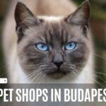 Pet Shops in Budapest