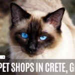 3 Best Pet Shops in Crete, Greece