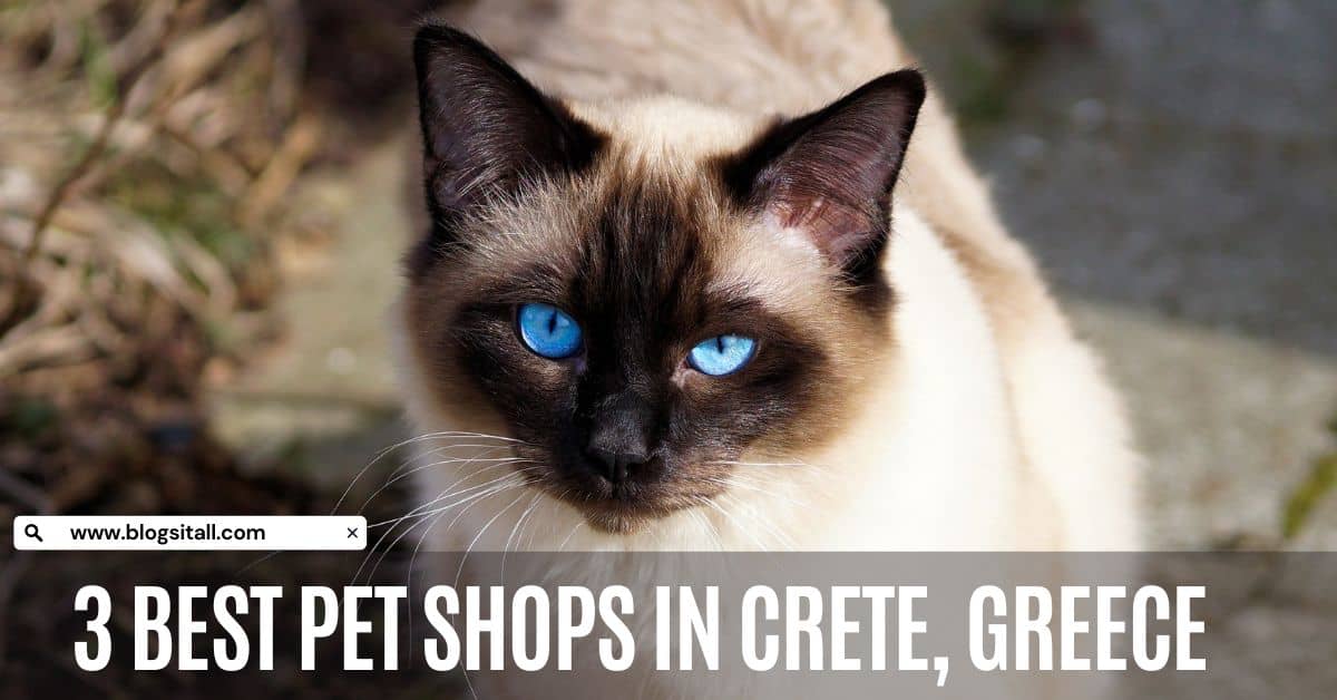 3 Best Pet Shops in Crete, Greece
