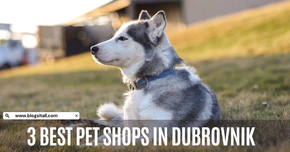 Pet Shops in Dubrovnik