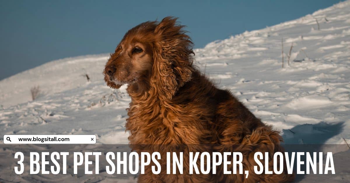 Pet Shops in Koper