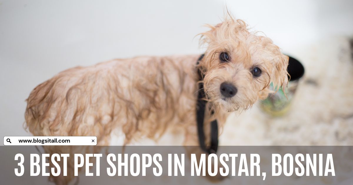 3 Best Pet Shops in Mostar, Bosnia