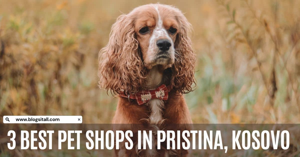 Pet Shops in Pristina