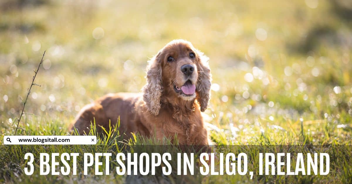 Pet Shops in Sligo