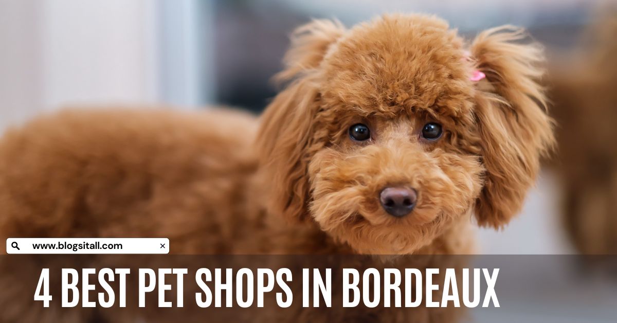 4 Best Pet Shops in Bordeaux, France