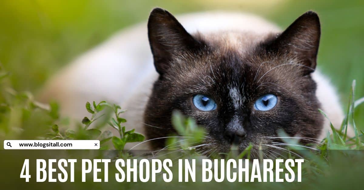 4 Best Pet Shops in Bucharest, Romania