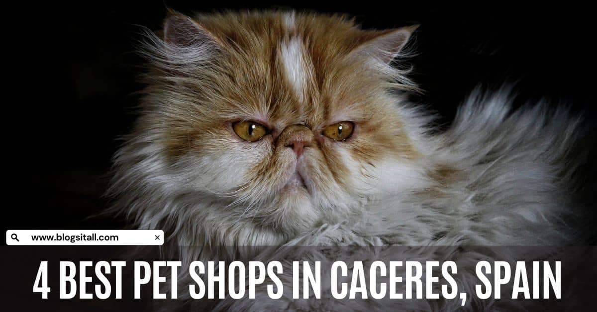4 Best Pet Shops in Caceres, Spain