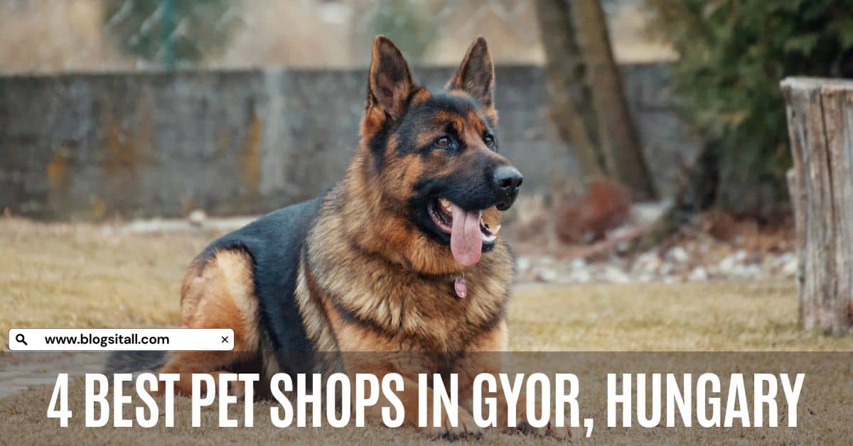 4 Best Pet Shops in Gyor, Hungary