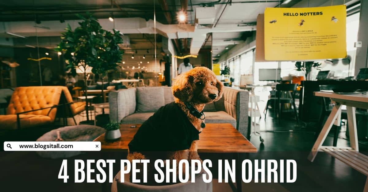 4 Best Pet Shops in Ohrid, North Macedonia