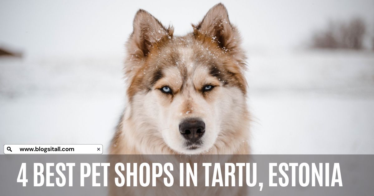 Pet Shops in Tartu