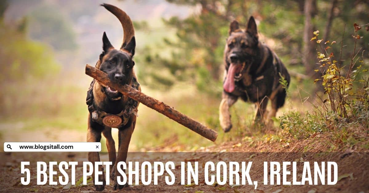 5 Best Pet Shops in Cork, Ireland