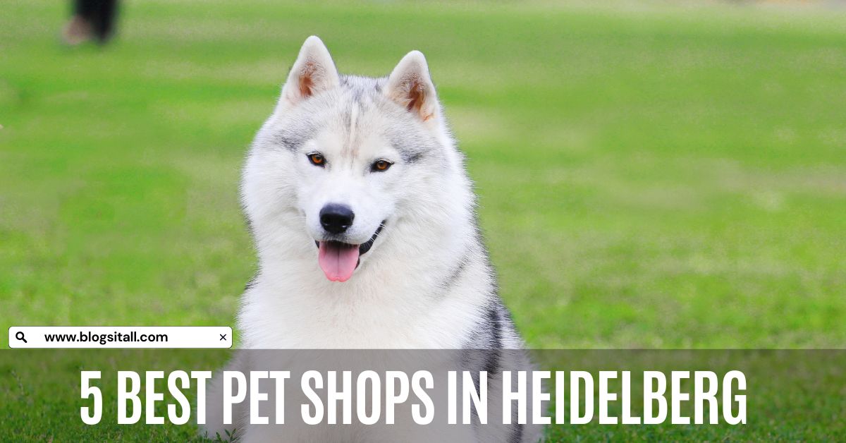 5 Best Pet Shops in Heidelberg, Germany