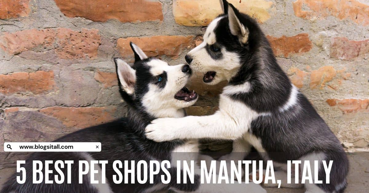 Pet Shops in Mantua