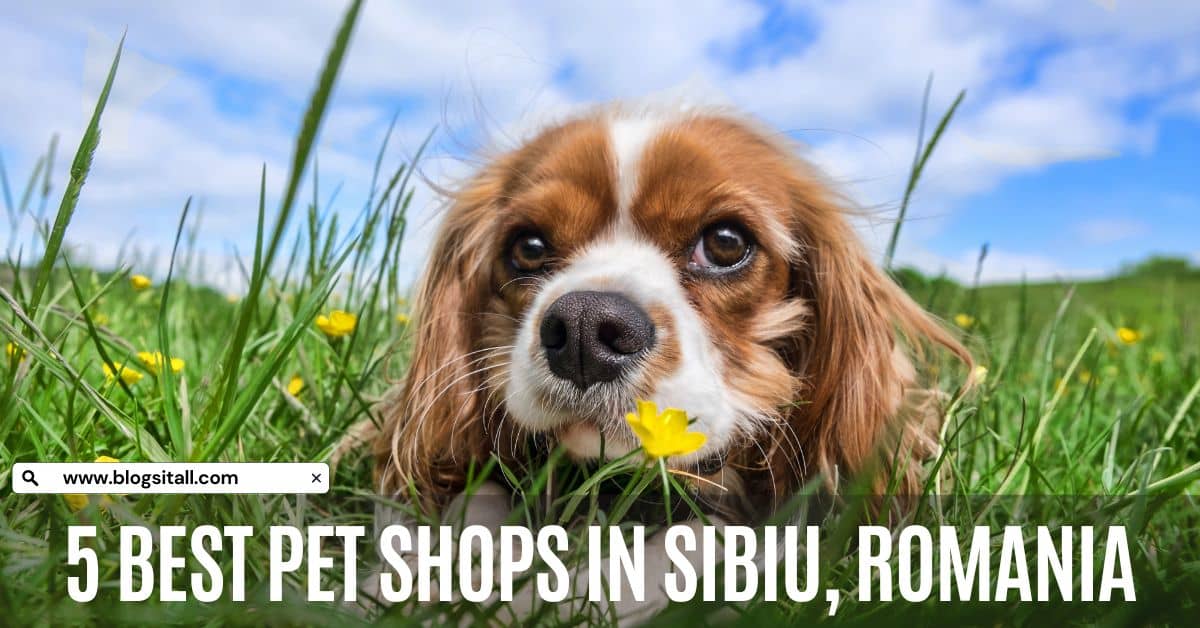 5 Best Pet Shops in Sibiu, Romania