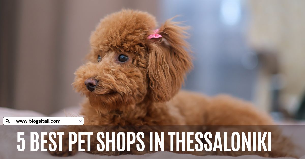 5 Best Pet Shops in Thessaloniki, Greece