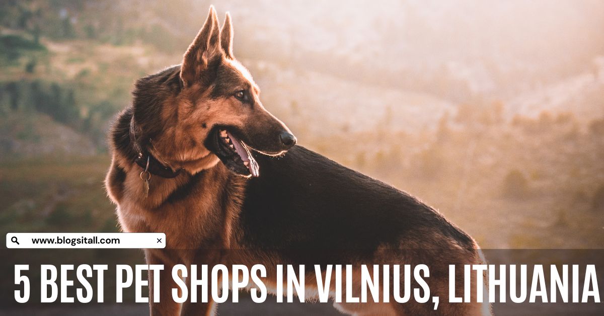 5 Best Pet Shops in Vilnius, Lithuania
