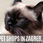 5 Best Pet Shops in Zagreb, Croatia