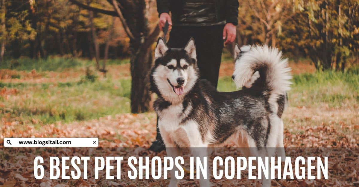 6 Best Pet Shops in Copenhagen, Denmark