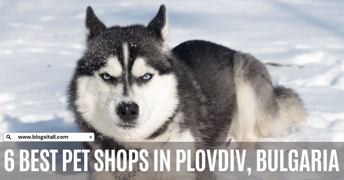 6 Best Pet Shops in Plovdiv, Bulgaria