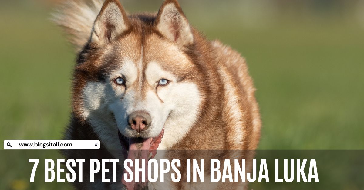 7 Best Pet Shops in Banja Luka, Bosnia
